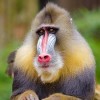 株主優待で「皆はこう呼んだ、鋼鉄ジーグ」を観てきた